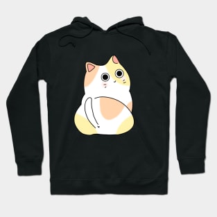 Kitty Cat Hoodie